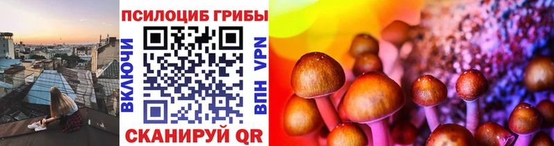 Псилоцибиновые грибы Psilocybe  Валдай 